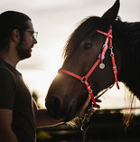 photos site gite enhanced 2.jpg