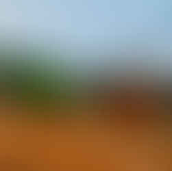 Volunteer with ManGo Development