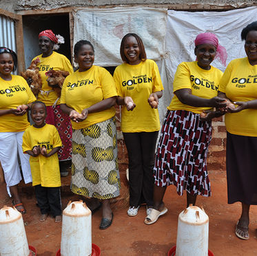 Mwakingali Golden eggs