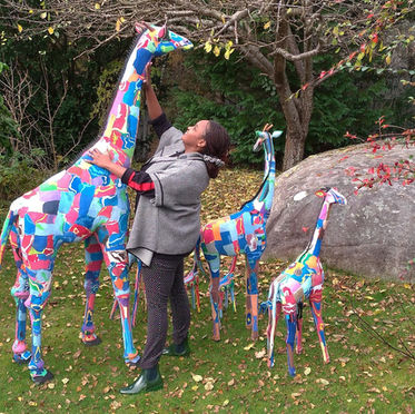 Zuri the giraffe on tour