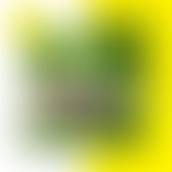 \2026シーズパートスタッフ募集/