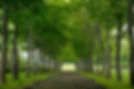 全景/春-夏.jpg