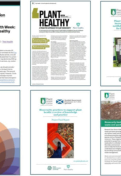 research publications_crop.jpg