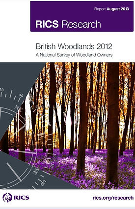 BWS 2012 screen shot.jpg