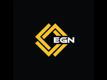 INTRODUCTION: teamseed.one (EGN) MMO-Squadmate on Discord (Gamez DE - 09/2025)