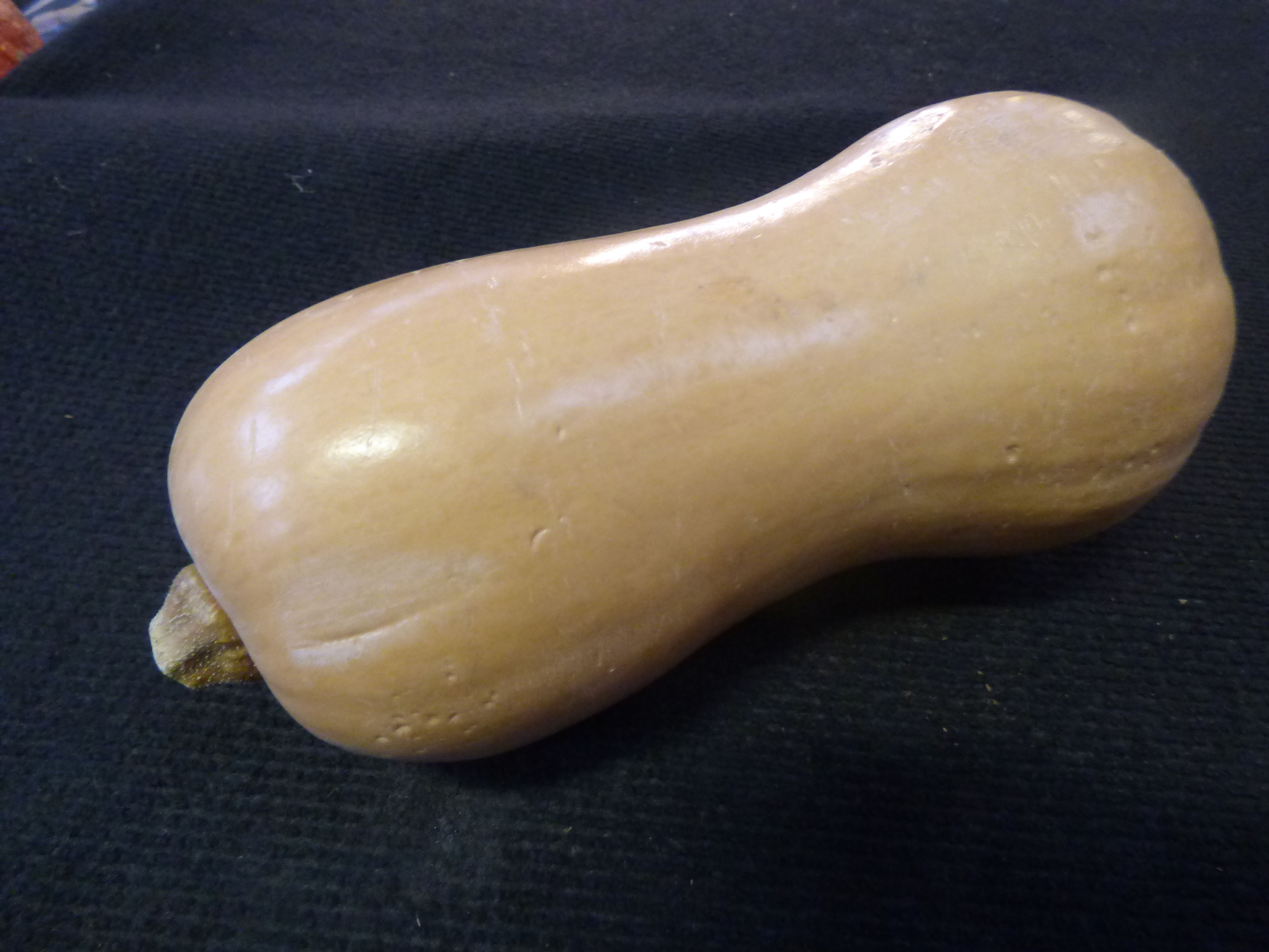 Butternut pompoen | per stuk