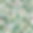 Wild Garden Large.png