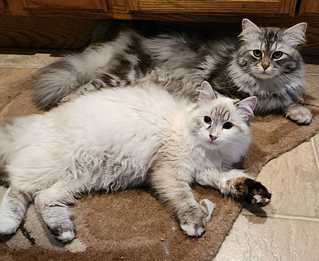 20250625_114919 (1)_edited.jpg