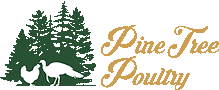 Pine-Tree-Poultry-Logo.gif