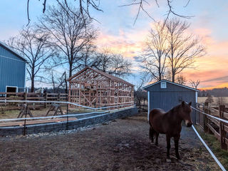 Horse in a small pen. Stable under construction in the background.