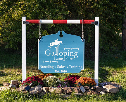 Galloping Lane Farm Signage