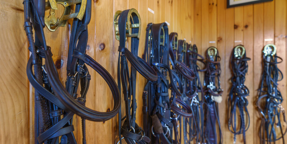 A collection of well-organized equestrian tack hangs neatly on a wooden wall inside Hart Farm, featuring bridles, bits, and halters reflecting the high standard of horse care and riding preparation offered.