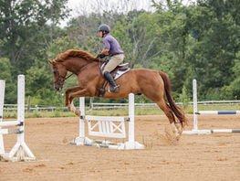 Side view of a rider on a brown horse jumping an equestrian hurdle in a dry lot.