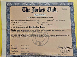 Certificate of Registration for Yours Truly Tilly