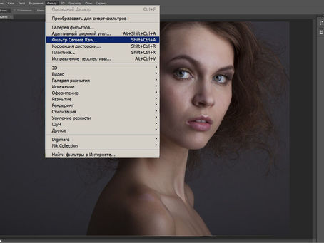 Photoshop Cs6 Camera Raw 9.1 Download