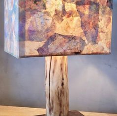 Tam 0102 rt angle Mar 12 2022.jpg