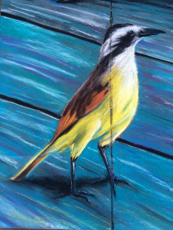 bird.jpeg