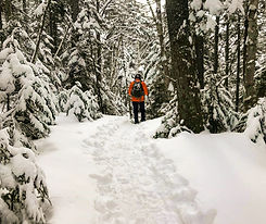 snowshoevermont.jpeg