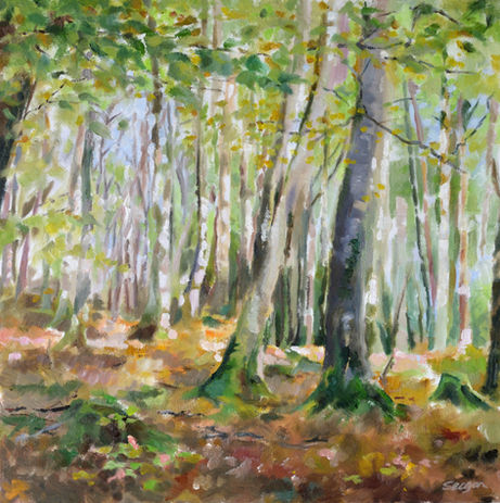 A wooded scene with a hint of blue sky breaking through the canopy
