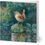 Thumbnail: Wren - Folded Greeting Cards – Pack of 10 (EU & RoW)