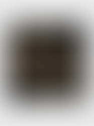 Halyconic capital co. ltd