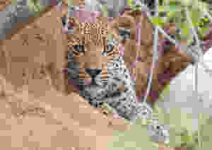 19963a6e-67e7-47d2-880e-f938e5358494