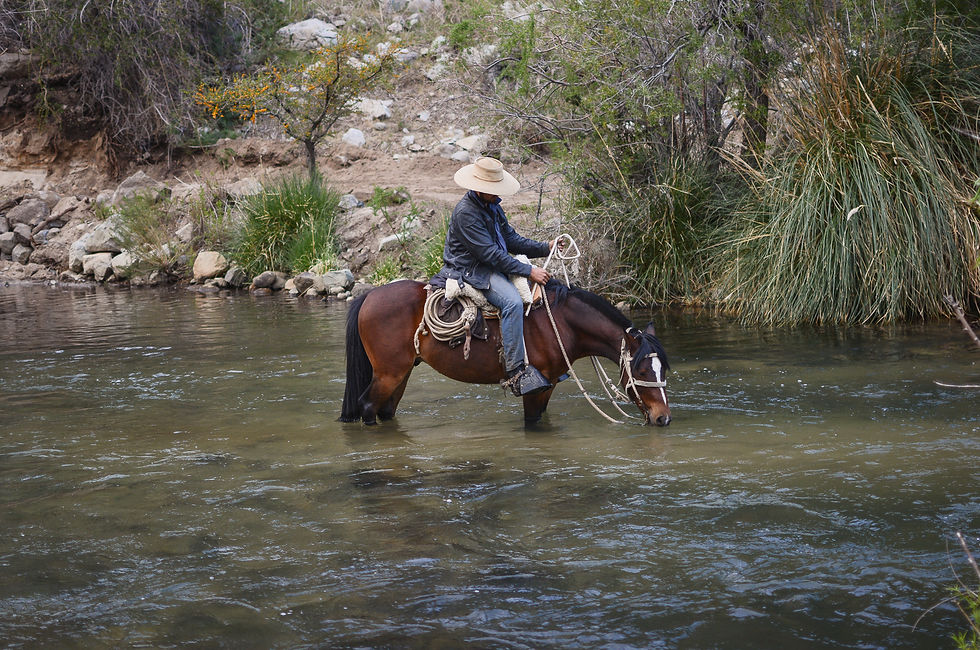 Cabalgata