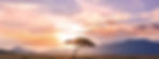 Sunset tree in Kenya Safari, Africa_edited.jpg
