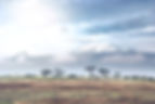 View of Kilimanjaro from Amboseli National Park, Kenya._edited.jpg