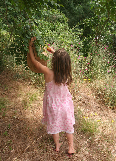 Petite fille cueillant des feuilles dans un arbre