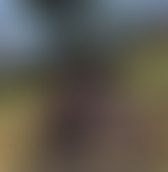 Turma do Curso do Dr. Eric Slywich