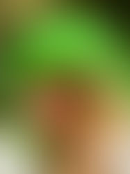 Fast fashion and the wholesale ruination of wildlife