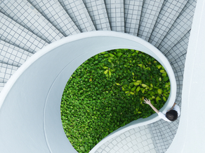 Sustainability is Trending