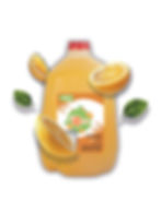 galones de zomos y citrus-06.jpg