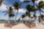 Weddig in tropical paradise