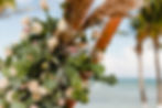 Destination weddings in Mexico from The Walking Parrot