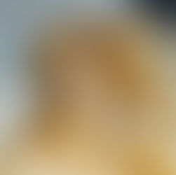 波提切利(Sandro Botticelli, about 1445-1510) Part. I