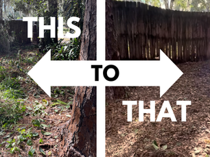 What Does a Yard Cleanup Service in Orlando Actually Include?