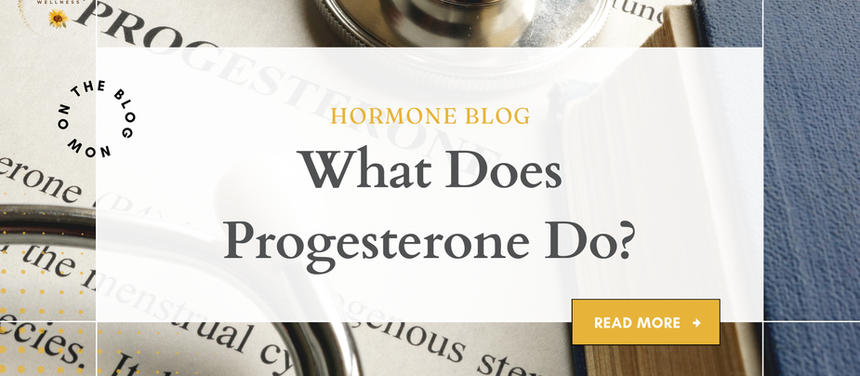 Progesterone: The Hormone That Isn’t Talked About Enough!