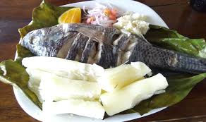 Maito de tilapia.
