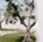 Luxury hotel exterior photography – Italy boutique hotel