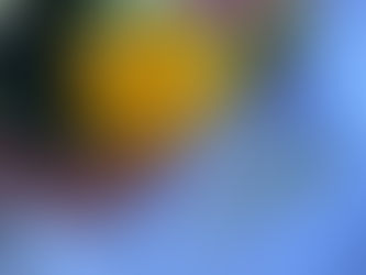 International Women's Day 2024