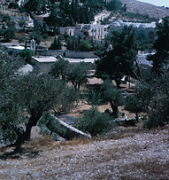 House for sale in Jerusalem - Frenh Hill