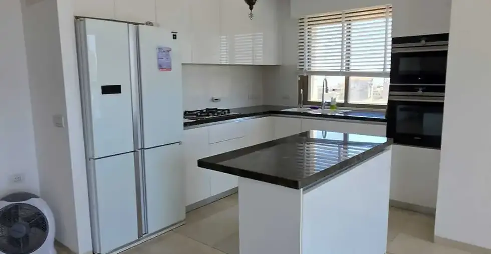 apt for rent in the city center kitchen