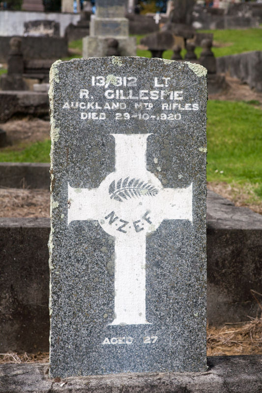 Thumbnail: NZEF Group - Lt Gillespie - NZMR