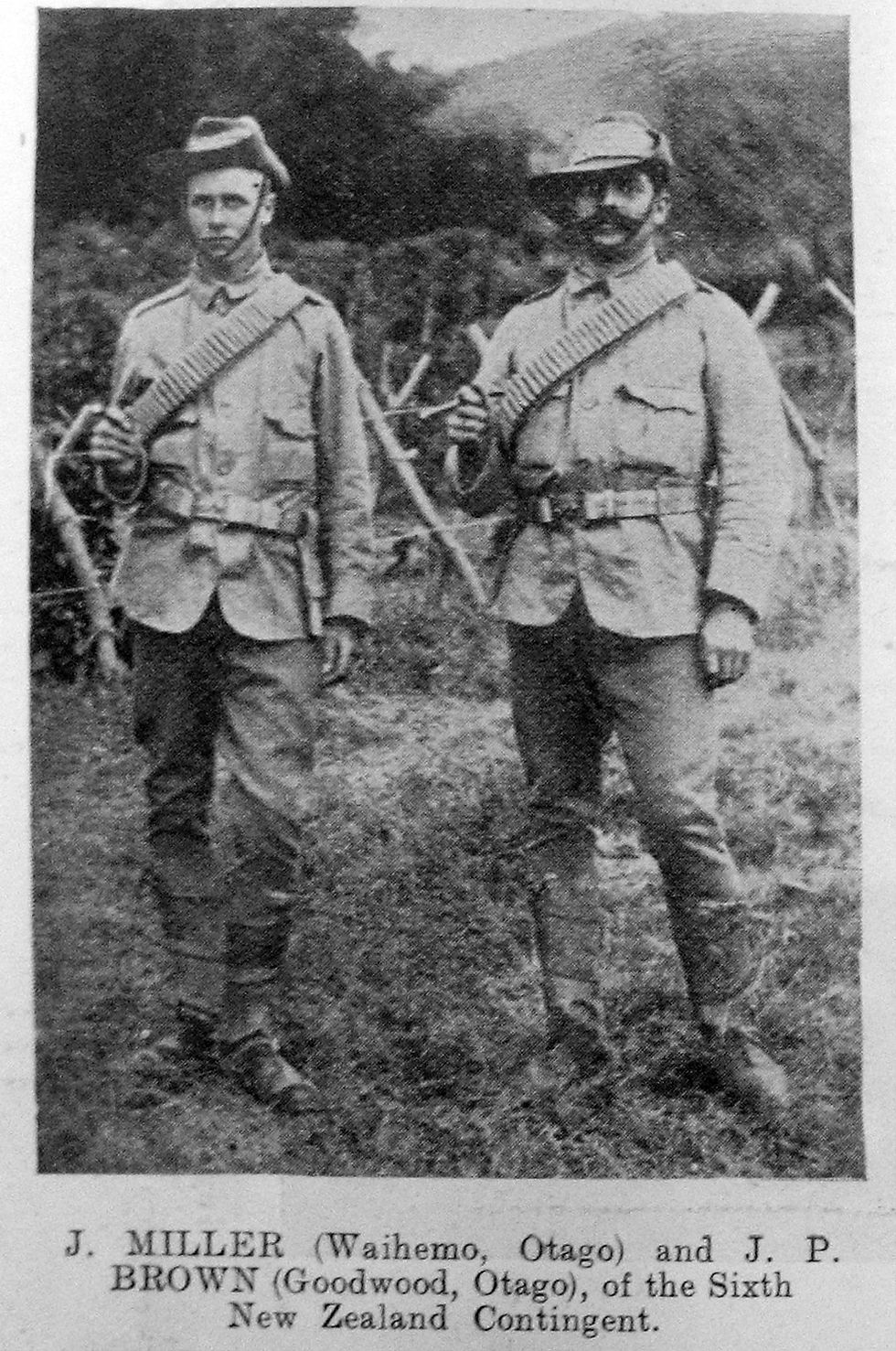 Thumbnail: QSA - 6th NZMR - Brown