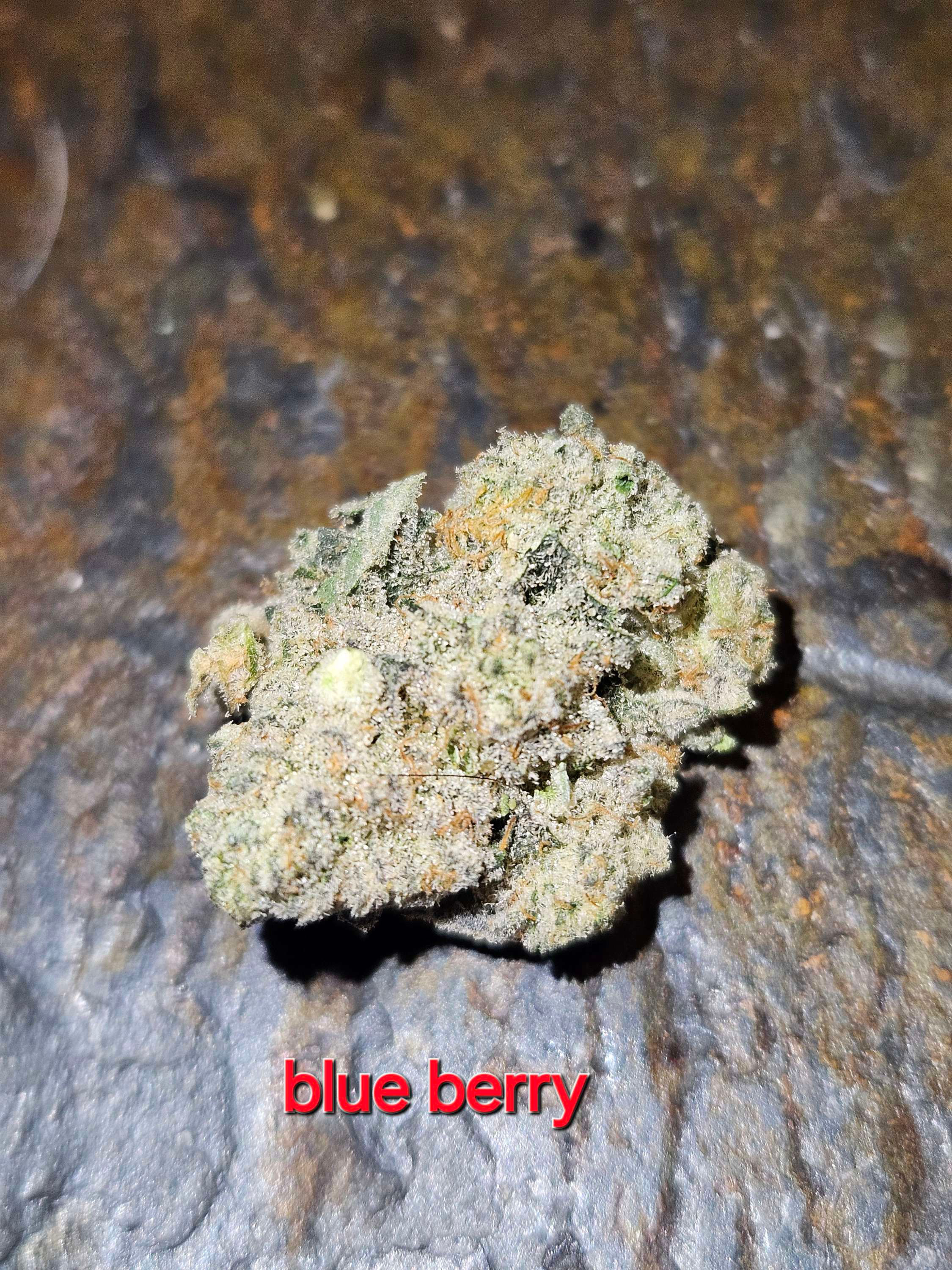 Blueberry
