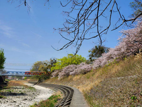 7月20日(水)第2回瞑想会報告
