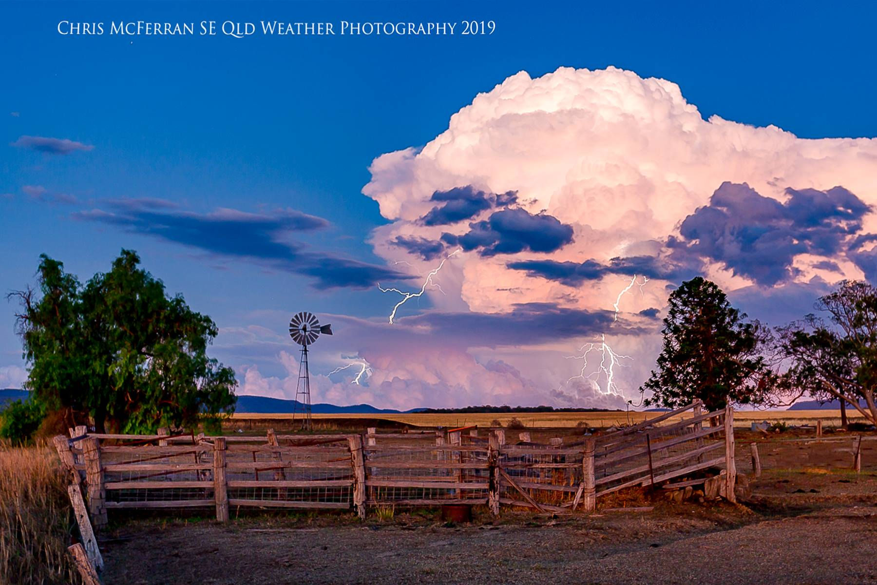 Freestone Thunderhead.