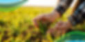 01-Applying-Pre-Emergent-for-Crabgrass-in-Maryland-min.jpg